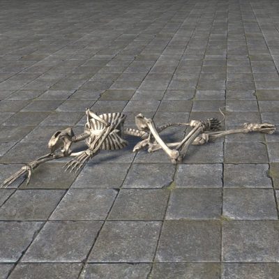 Corpse of Mayhem, Khajiit