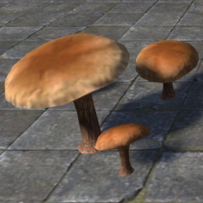 Mushroom, Brown Gilled