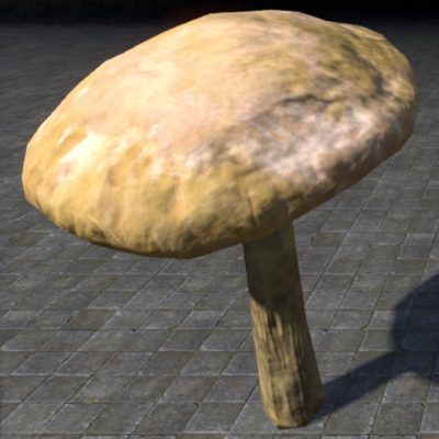 Mushroom, Sturdy Milkcap