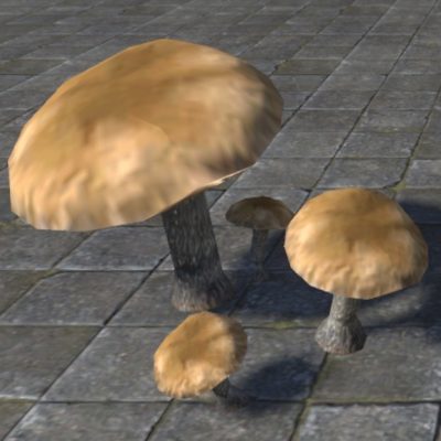 Mushrooms,Bruising Webcap