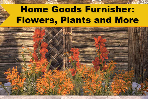 Flowers and Plants Banner