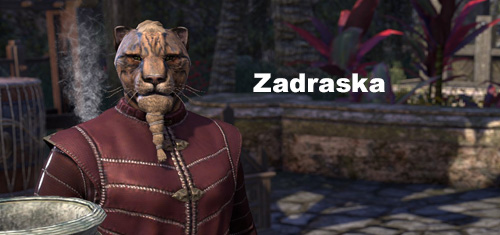 Zadraska