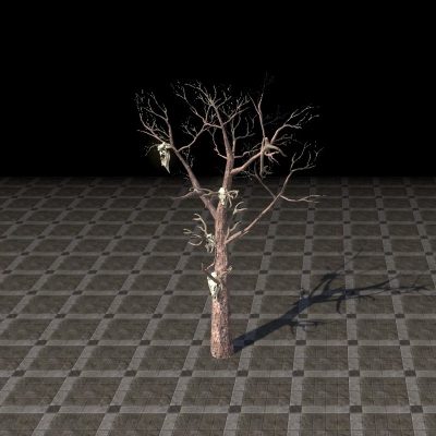 Tree, Reach Totem